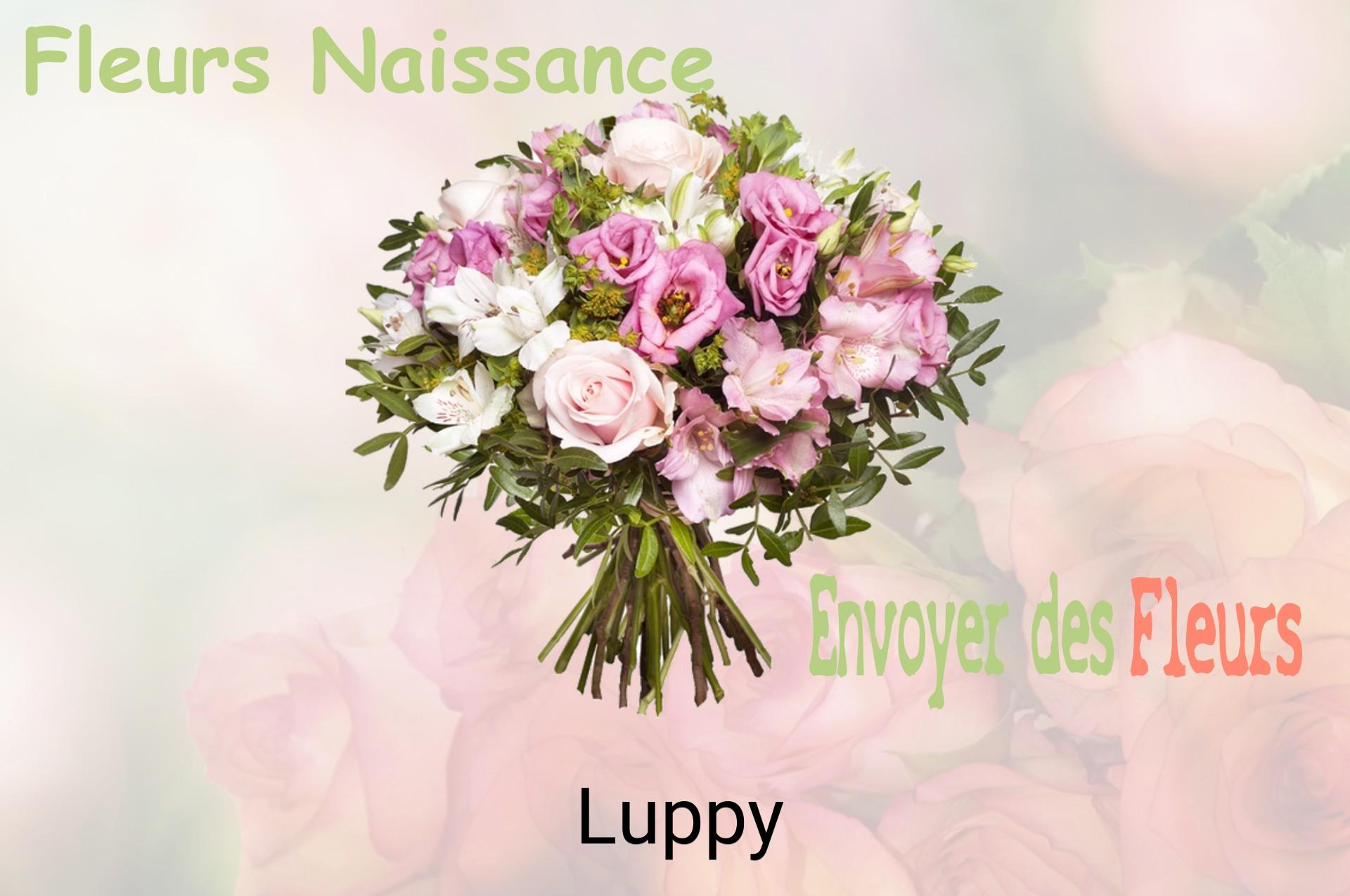 Bouquet de fleurs de naissance livré à Luppy